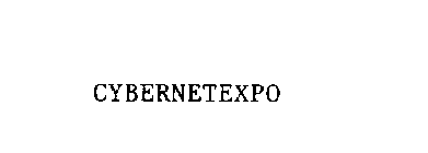 CYBERNETEXPO