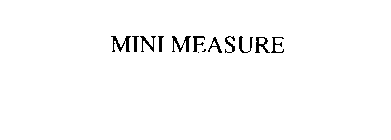 MINI MEASURE