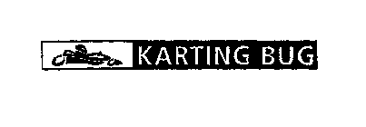 KARTING BUG