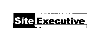 SITE EXECUTIVE