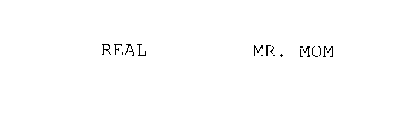REAL MR. MOM
