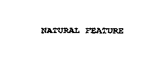 NATURAL FEATURE