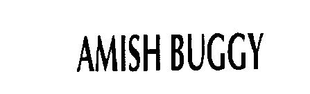 AMISH BUGGY