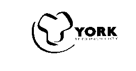 YORK TECHNOLOGY