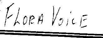 FLORA VOICE