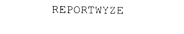 REPORTWYZE