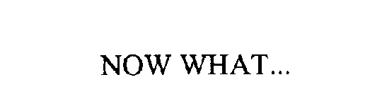 NOW WHAT...