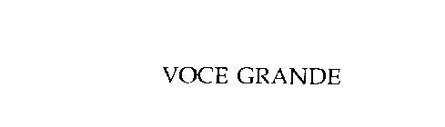 VOCE GRANDE