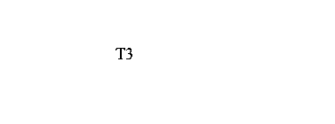 T3