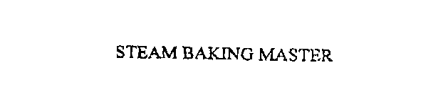 STEAM BAKING MASTER