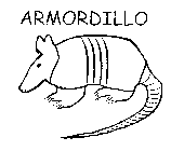 ARMORDILLO