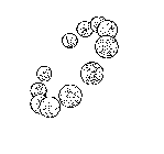 Image Trademark