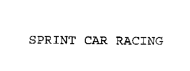 SPRINT CAR RACING