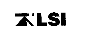 LSI LOAD SYSTEMS INTERNATIONAL