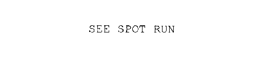 SEE SPOT RUN