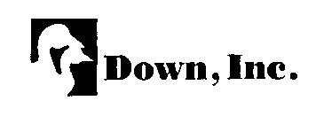 DOWN, INC.