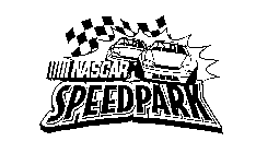 NASCAR SPEEDPARK