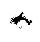ORCA DESIGNS CO.
