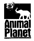 ANIMAL PLANET