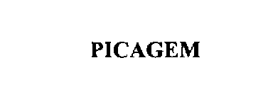 PICAGEM