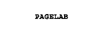 PAGELAB