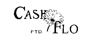 CASHFLO FTD