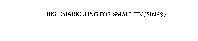 BIG EMARKETING FOR SMALL EBUSINESS