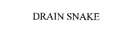 DRAIN SNAKE