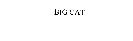 BIG CAT