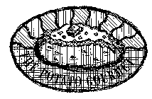 THE POTATO GOURMET