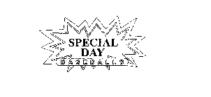 SPECIAL DAY BASEBALLS