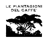 LE PIANTAGIONI DEL CAFFE