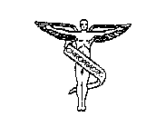 CHIROPRACTIC
