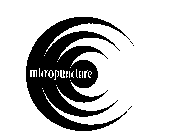 MICROPUNCTURE