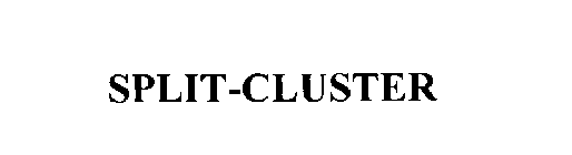 SPLIT-CLUSTER