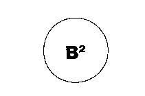 B2