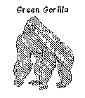 GREEN GORILLA