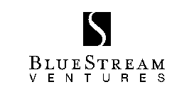 BLUESTREAM VENTURES