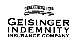 GEISINGER INDEMNITY INSURANCE COMPANY