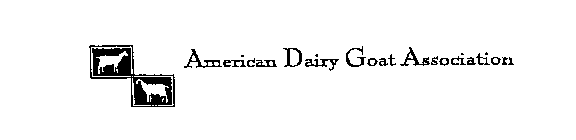 AMERICAN DAIRY GOAT ASSOCIATION