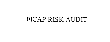 FICAP RISK AUDIT