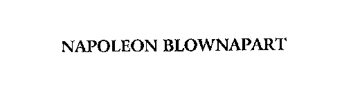 NAPOLEON BLOWNAPART