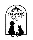 FLAVOR X