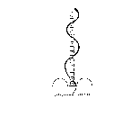 ORTHOMANIPULATION ORTHOMANUAL MEDICINE