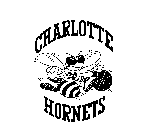 CHARLOTTE HORNETS