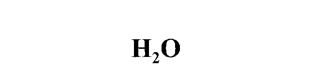 H20