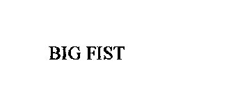 BIG FIST