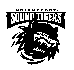 BRIDGEPORT SOUND TIGERS