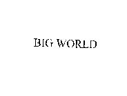 BIG WORLD