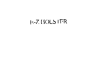 E-Z HOLSTER